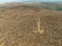 DJI_0592