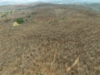 DJI_0588