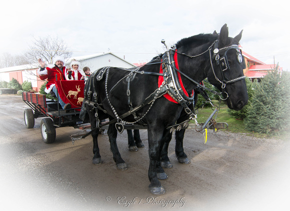 L.J. Ranch Christmas Rides at Jakes Greenhouse-3438-Edit