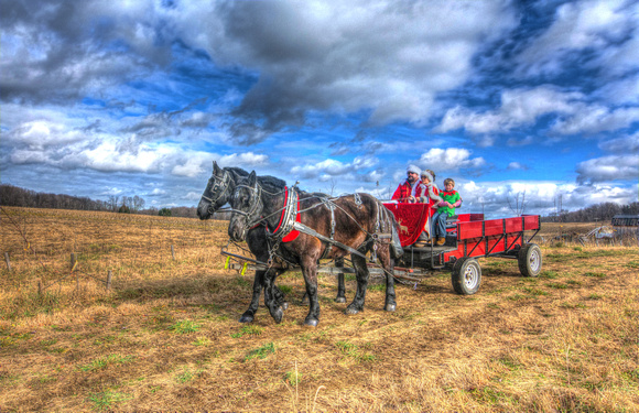 L.J. Ranch Christmas Rides at Jakes Greenhouse-3420_1_2_3_4_Painterly 2