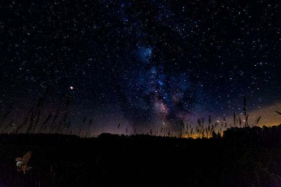July 8th Milky WayAstrophotography-23