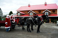L.J. Ranch Christmas Rides at Jakes Greenhouse-3501