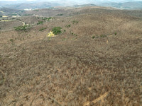 DJI_0589
