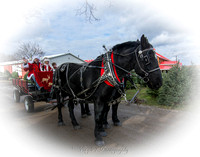L.J. Ranch Christmas Rides at Jakes Greenhouse-3435-Edit