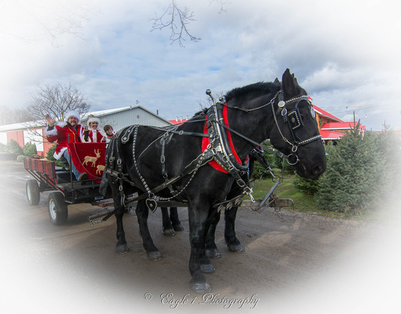 L.J. Ranch Christmas Rides at Jakes Greenhouse-3435-Edit