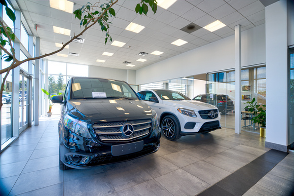 Momentum Marketing Buffalo Mercedes Benz -59